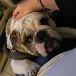 Meet your Posher, Lorena